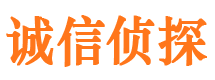 宁强市私家侦探